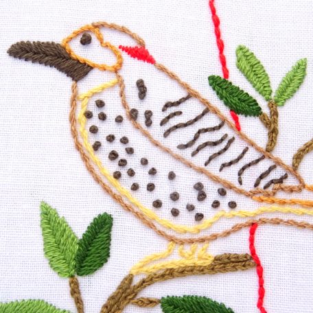 alabama-bird-diy-hand-embroidery-pattern