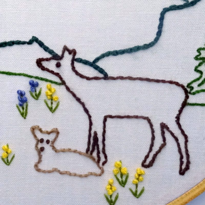 Rocky Mountain National Park Embroidery Pattern