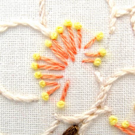 arkansas-state-flower-hand-embroidery-pattern-apple-blossom