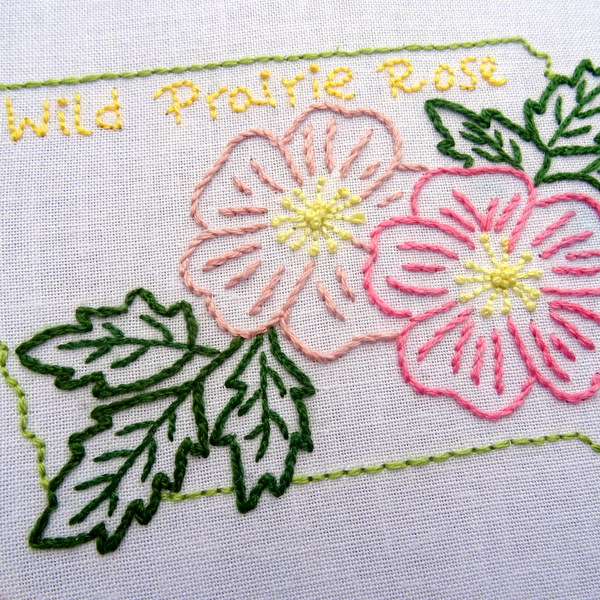 Iowa State Flower Embroidery Pattern {Wild Prairie Rose}