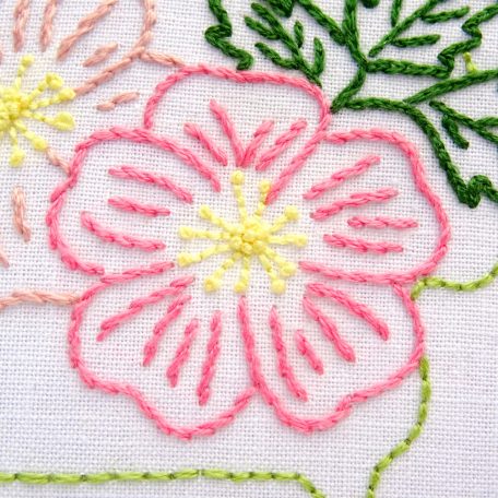 iowa-state-flower-hand-embroidery-pattern-wild-prairie-rose
