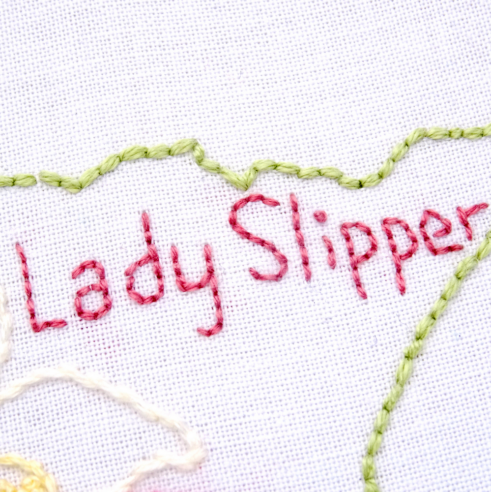 Minnesota Flower Hand Embroidery Pattern Lady Slipper Wandering Threads Embroidery