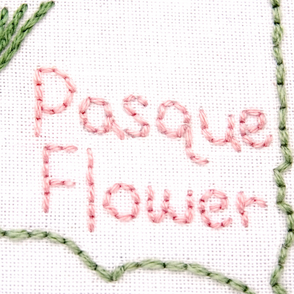 South Dakota Flower Hand Embroidery Pattern {Pasque Flower}