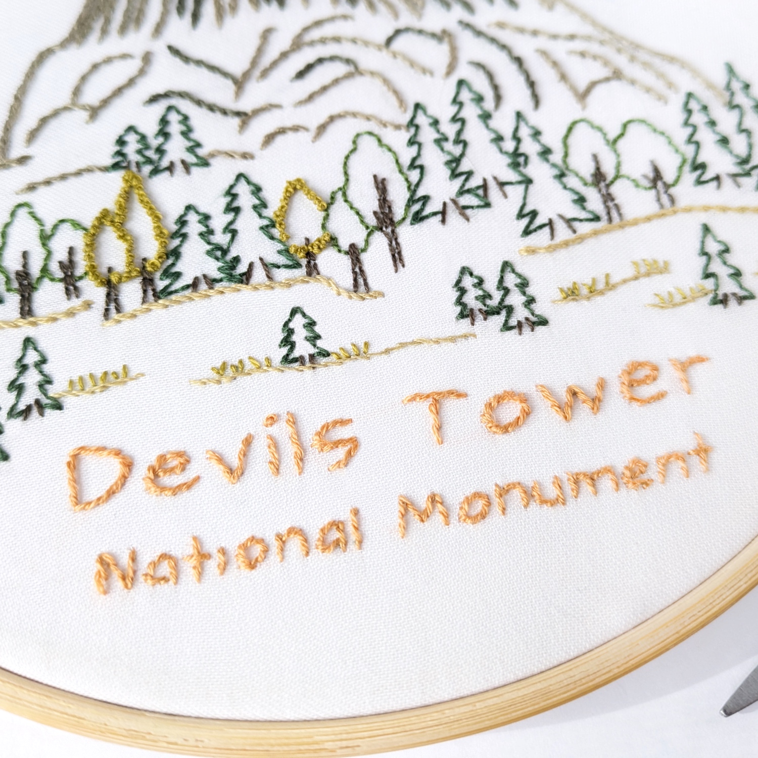 Devils Tower-4(square)